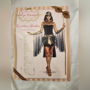 EGYPTIAN GODDESS Costume, Adult Size  Small, complete with Accessories!